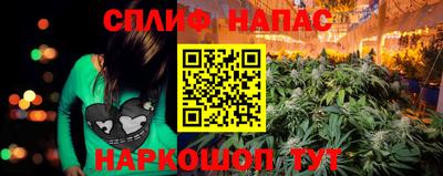 apvp Кунгур