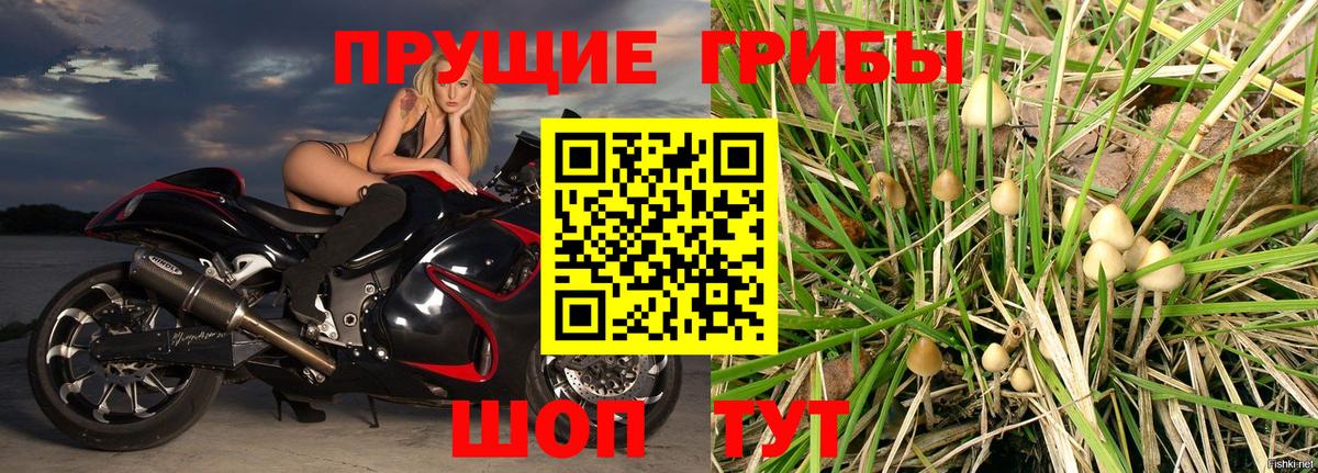 Унеча  Галлюциногенные грибы GOLDEN TEACHER  Псилоцибиновые грибы MAGIC MUSHROOMS  Вход с VPN 