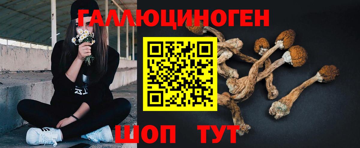 Галлюциногенные грибы мухоморы Унеча